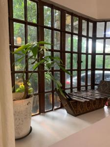 Tishas abode near Enchanted Kingdom