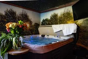 Drents Genieten - Dopheide met privé jacuzzi en sauna - 埃曼