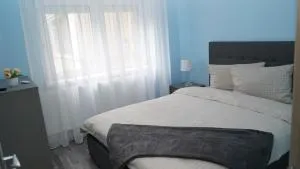 FRATU Apartment - Beclean