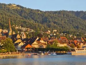 Cozy 1 room apartment in Zug - Menzingen