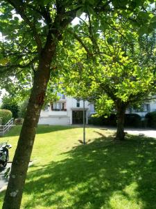 Sejours chez l'habitant Chambre individuelle dans un grand appartement 3 pieces : photos des chambres