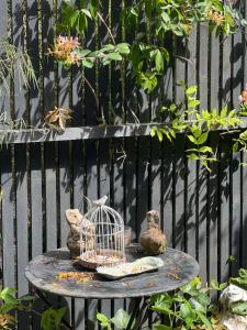 Maisons de vacances La Dependance : Gîte 2 Chambres 