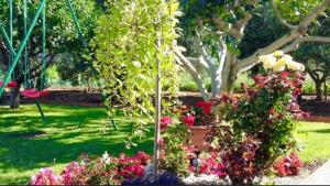 Studio apartman Maja Vrsi