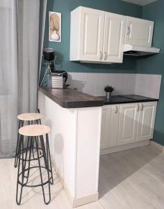 Joli appart cour proche bord de loire
