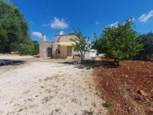 casina tra gli ulivi