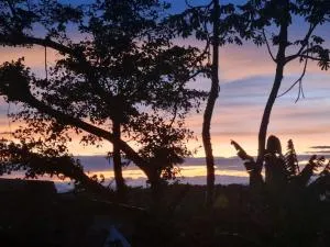 Finca La Carolina - Guayabal