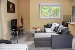 Sunny House Palio