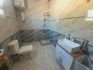 فيلا بالاسكندارية راقية