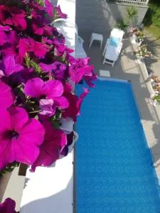 Oasirelax -camera con vista a un passo da torino - Sciolze