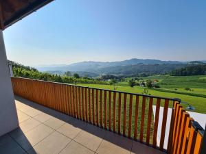 Villa Strtenica in the vineyard 