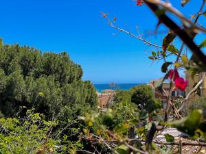 La Heredad - Villa en La Zenia