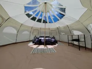 Luna Rock Glamping Brezoi - Blue Scai - Căpăţîneni-Ungureni