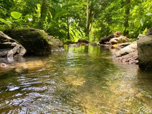 Canto Tayrona Ecolodges