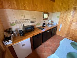 Domy letniskowe Powidzanka