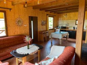 Domy letniskowe Powidzanka