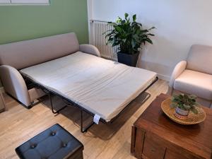 A lorée de la forêt