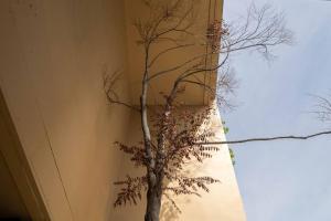 Luxury Room 2 Near BTS Thong Lor