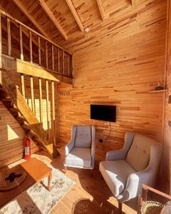 Nest Çambaşı Bungalow Ordu