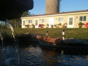 Beach Mirage Suites , Rm #4 - Isle