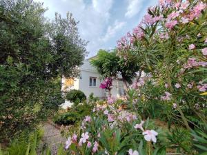 Bed & Breakfast Josip