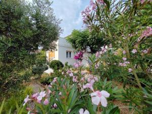 Bed & Breakfast Josip
