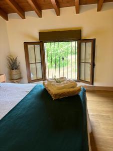 La Casa Grande de Cabrales II