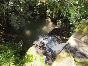 Tiny Bosque del Barro