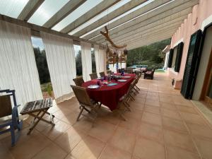 Aires Azules del Tomir