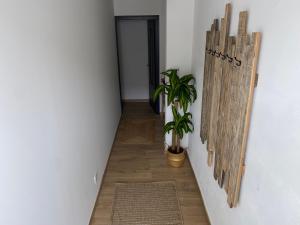 Appartements Appartement spacieux climatise avec terrasse : photos des chambres