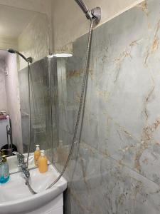 стая паритон партер