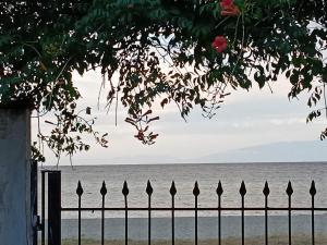 Halkidiki sea view