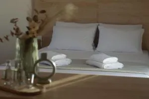 Welina guesthouse - Dhimínion