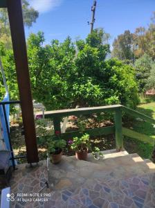 Portokallja Guest House Radhime