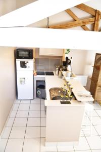 Appartements Gite avec piscine et jardin Le Cosy - Les Bergeronnettes Bergerac : photos des chambres