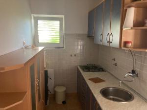 Apartment Ivanka - Mandre 