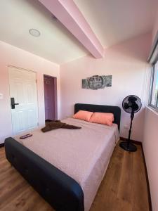 Casa Pandora Hostel Women Only