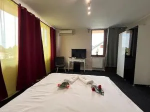 Pensiunea Casa Copou - 雅西