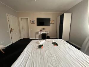 Pensiunea Casa Copou