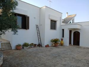 Natura e relax la campagna di nonno Pino