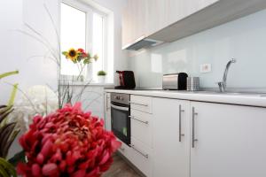 Lovely victoriei studio