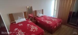 الساحل الشمالى قرية جوليانا أمام قرية قناة السويس North Coast Juliana Resort Vip Chalet