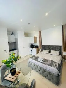 Le rafale Proche aeroport et Parc Exposition - 德朗西