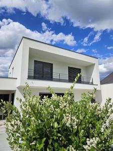 Villas Villa de l-Elbe proche Europapark en Alsace : photos des chambres