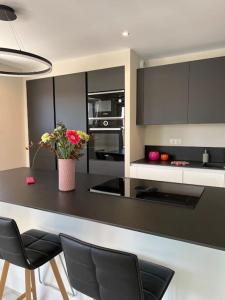 Villas Villa de l-Elbe proche Europapark en Alsace : photos des chambres