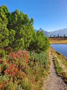 Appartement Eben im Pongau
