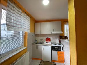 Apartman Slobo Zlatibor