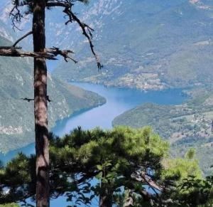 Planinske kuće Anika Tara minimum 2 noćenja