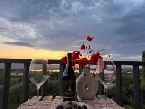 Shpija Zani i Nans - Lezhë (Alessio)