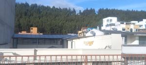 Habitación en lindo Apartamento