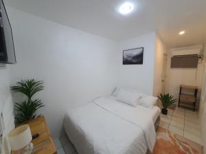 West Coast Beach House